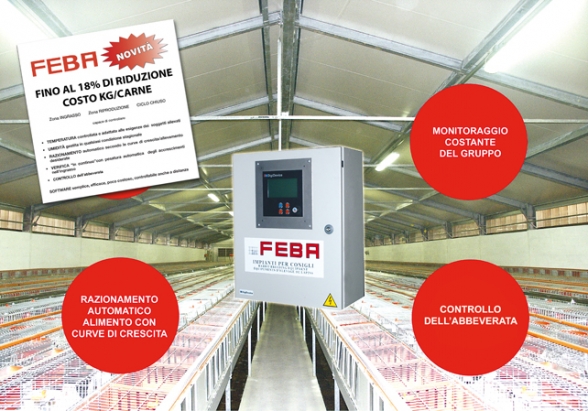 Rabbit breeding hot sale supplies