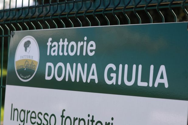 FATTORIE DONNA GIULIA - MASSERIE SARACENO | 500 CAPI IN LATTAZIONE 3U0A7150 ok