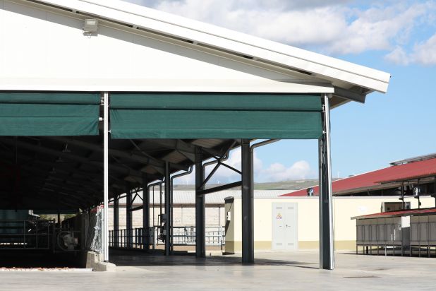 FATTORIE DONNA GIULIA - MASSERIE SARACENO | 500 CAPI IN LATTAZIONE 3U0A7193 ok