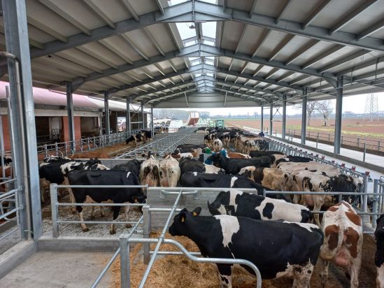 NUOVA STALLA DA 1.870 MQ PER BOCCARDO DARIO AZ. AGR. DI CASCINA RIVAROLO-CARIGNANO (TORINO) Boccardo 1