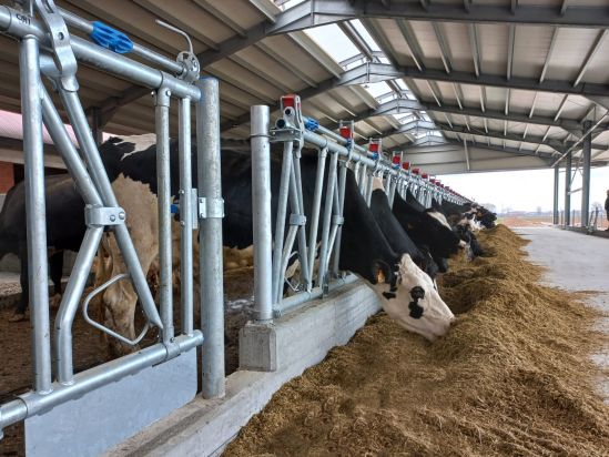 NUOVA STALLA DA 1.870 MQ PER BOCCARDO DARIO AZ. AGR. DI CASCINA RIVAROLO-CARIGNANO (TORINO) Boccardo 2 ok