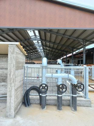 NUOVA STALLA DA 1.870 MQ PER BOCCARDO DARIO AZ. AGR. DI CASCINA RIVAROLO-CARIGNANO (TORINO) Boccardo 7