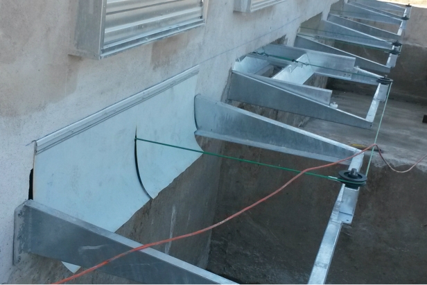 CONIGLI Raschiatori Foto n.9