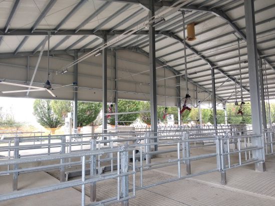 CERZOO - Centro per la ricerca per la zootecnia e l'ambiente Cerzoo 8 Low