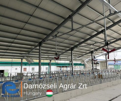 Hungary Rota Guido