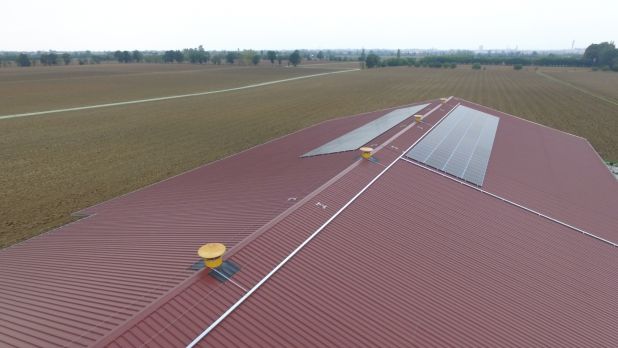 CERZOO - Centro per la ricerca per la zootecnia e l'ambiente DJI 0037