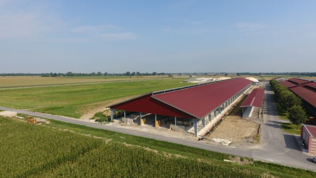 THE EXTENSION OF INTEGRATED LIVESTOCK CENTER for CATTLE "AZ. AGR. FUGAZZA" IS IN PROGRESS Azienda Agricola Fugazza - Allevamento bovini