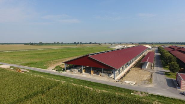 Azienda Agricola Fugazza - Allevamento bovini