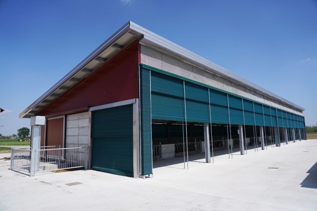 bovini Stalla