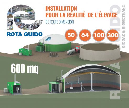 GRAFICHE EXPO BIOGAS GENERALE   LOW 2 Pagina 2(3)