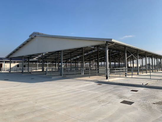 NUOVA STALLA BUFALE PER L’AZ. AGR. GALEONE ATTILIO DI CANCELLO ED ARNONE (CASERTA) Rota Guido