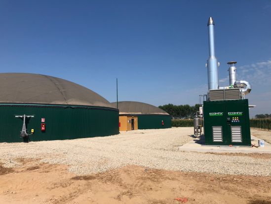 I tigli biogas 300 kw Rota Guido f1