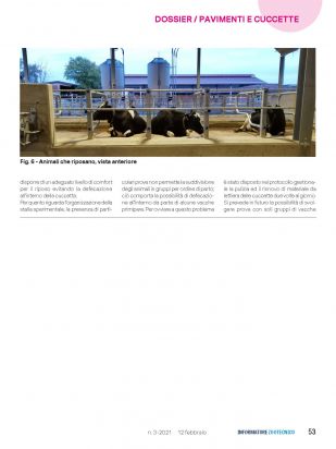 IZ   Articolo Cerzoo Pagina 4