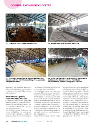IZ   Articolo Cerzoo Pagina 5