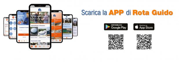 App Rota Guido