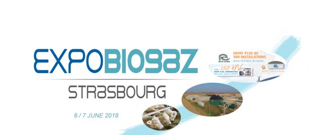 LOGO FIERA INGLESE(2)