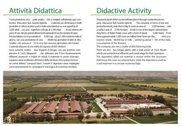 MACCARESE Attivita didattica