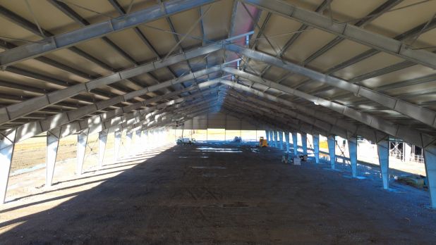 NUOVA STALLA FERRARI CIBOLDI 2