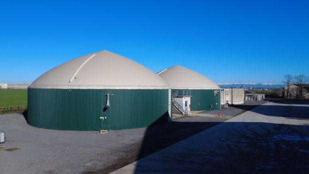 NUOVA STALLA FERRARI CIBOLDI 5