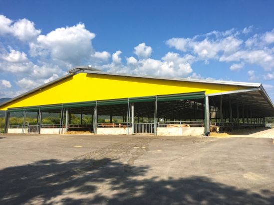 Centro tori Allevamento da ingrasso