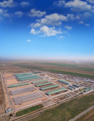 Uzbekistan Rota Guido