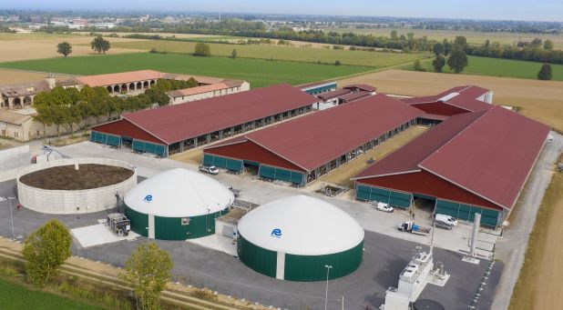 rota guido bovini biogas e biometano bovini da latte e impianto biogas