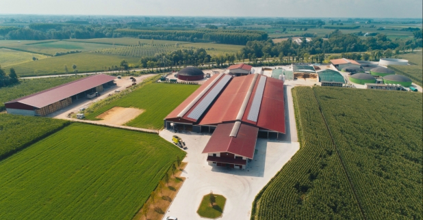 RotaGuido Azienda Bernardis Udine 2017 sito