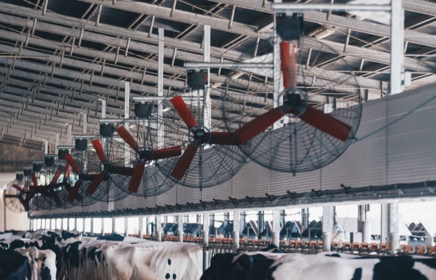 BERNARDIS BROTHERS FARM: BIOGAS AND CATTLE BREEDING RotaGuido ventilazione e barriere Bovini Comfort Bernardis Udine 2017