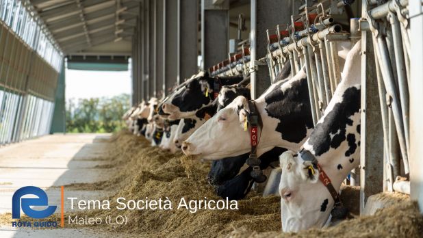 STALLA AD ALTA EFFICIENZA ENERGETICA: TEMA SOCIETA’ AGRICOLA DI MALEO Tema di Tonoli maggio 2023 13