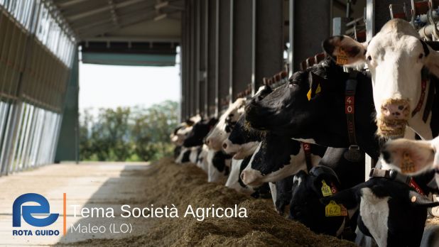 STALLA AD ALTA EFFICIENZA ENERGETICA: TEMA SOCIETA’ AGRICOLA DI MALEO Tema di Tonoli maggio 2023 14