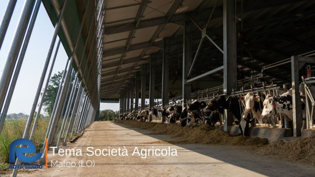 STALLA AD ALTA EFFICIENZA ENERGETICA: TEMA SOCIETA’ AGRICOLA DI MALEO Tema di Tonoli maggio 2023 15