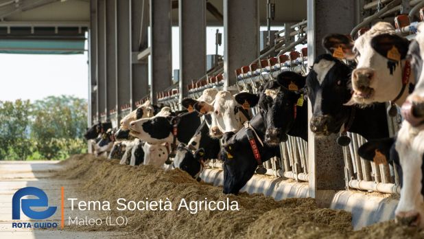 STALLA AD ALTA EFFICIENZA ENERGETICA: TEMA SOCIETA’ AGRICOLA DI MALEO Tema di Tonoli maggio 2023 16