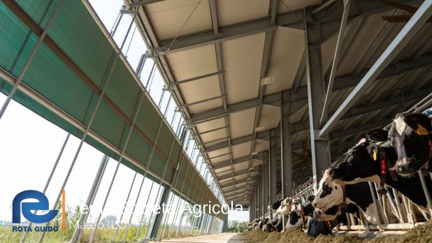 STALLA AD ALTA EFFICIENZA ENERGETICA: TEMA SOCIETA’ AGRICOLA DI MALEO Tema di Tonoli maggio 2023 17