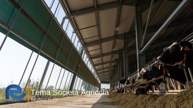 STALLA AD ALTA EFFICIENZA ENERGETICA: TEMA SOCIETA’ AGRICOLA DI MALEO Tema di Tonoli maggio 2023 18