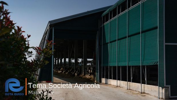 STALLA AD ALTA EFFICIENZA ENERGETICA: TEMA SOCIETA’ AGRICOLA DI MALEO Tema di Tonoli maggio 2023 20