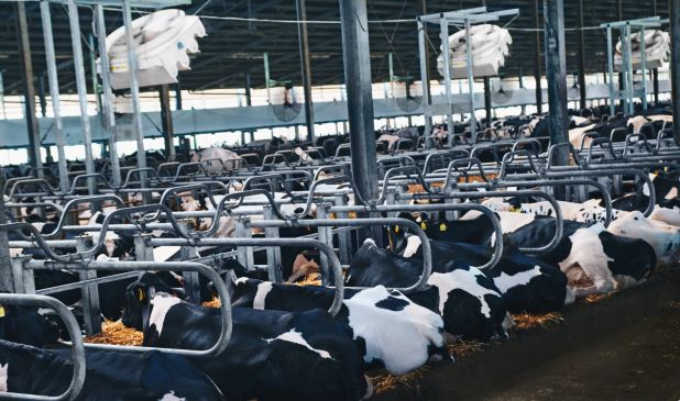 Ventilazione Su cuccette Bernardis