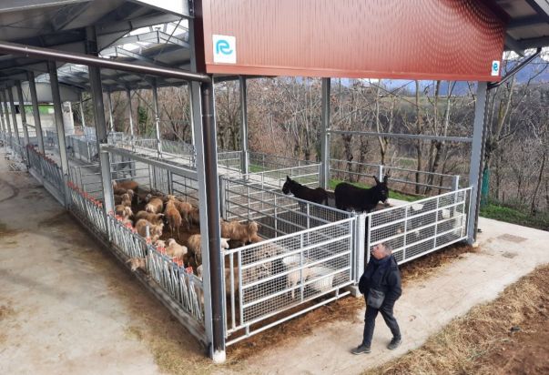 NUOVA STALLA LINEA VACCA VITELLO, PECORE, ASINI, SUINI CON ANCHE RICOVERO ATTREZZI PER LA CASCINA DEI PRATI AZ. AGR. AGRITURISTICA DI CREDARO (BERGAMO) Rota Guido