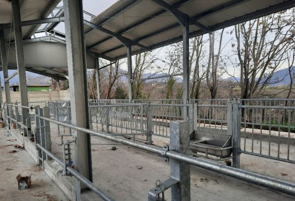 NUOVA STALLA LINEA VACCA VITELLO, PECORE, ASINI, SUINI CON ANCHE RICOVERO ATTREZZI PER LA CASCINA DEI PRATI AZ. AGR. AGRITURISTICA DI CREDARO (BERGAMO) agriturismo La cascina dei Prati presso credaro BG 10