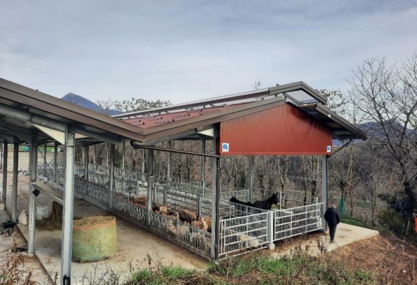 NUOVA STALLA LINEA VACCA VITELLO, PECORE, ASINI, SUINI CON ANCHE RICOVERO ATTREZZI PER LA CASCINA DEI PRATI AZ. AGR. AGRITURISTICA DI CREDARO (BERGAMO) agriturismo La cascina dei Prati presso credaro BG 17