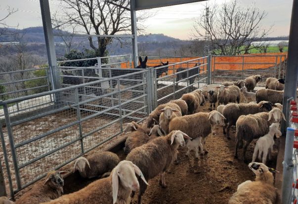 NUOVA STALLA LINEA VACCA VITELLO, PECORE, ASINI, SUINI CON ANCHE RICOVERO ATTREZZI PER LA CASCINA DEI PRATI AZ. AGR. AGRITURISTICA DI CREDARO (BERGAMO) agriturismo La cascina dei Prati presso credaro BG 2