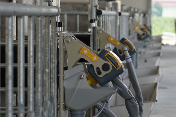 Big farm for milking cows Pieve Ecoenergia