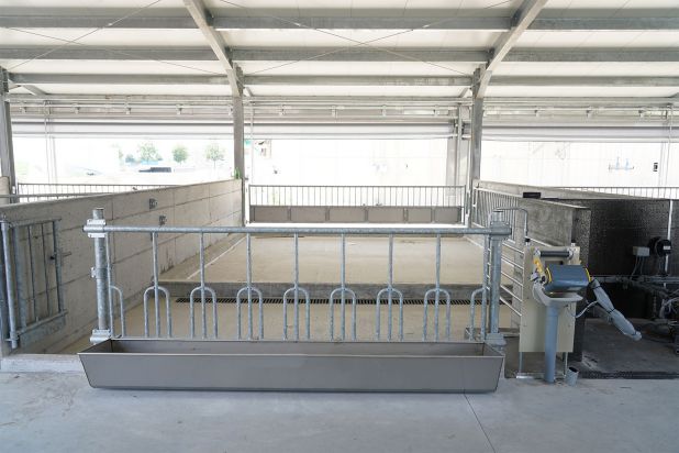 Big farm for milking cows Pieve Ecoenergia