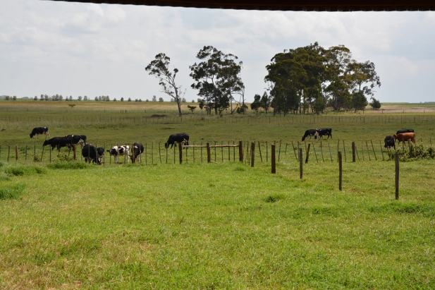rota kenya f4
