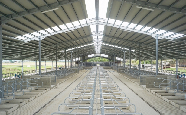 SOC. AGR. CAVALLONE | NUOVA STALLA E BIOGAS DA 249 KW | Cavour (TORINO) cavallone interno stalla 1500x650 pixel