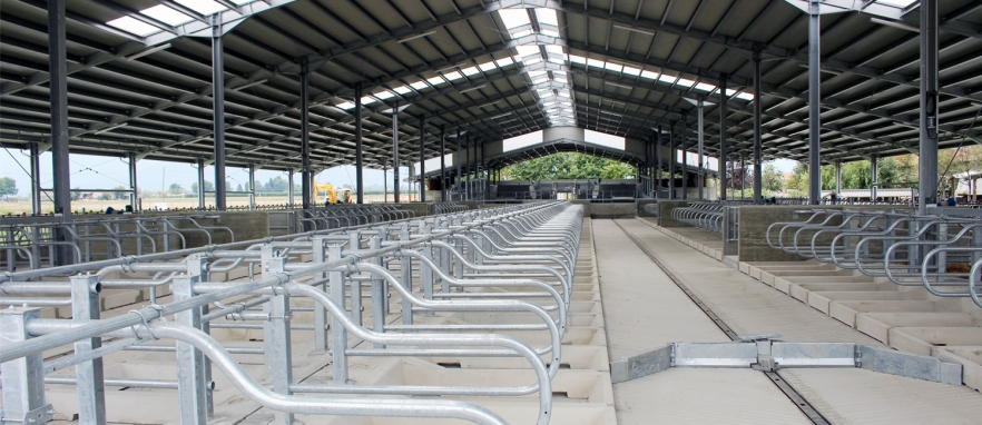 SOC. AGR. CAVALLONE | NUOVA STALLA E BIOGAS DA 249 KW | Cavour (TORINO) rotaguido cavallone cuccette